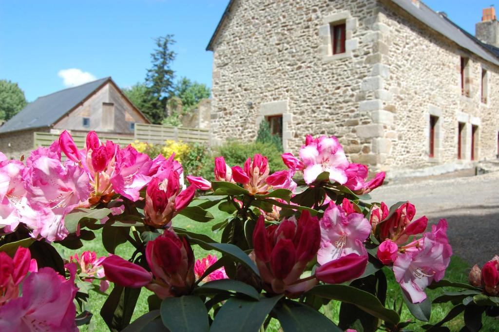 Maison D'Hotes & Gites Domaine De La Garaye ディナン エクステリア 写真