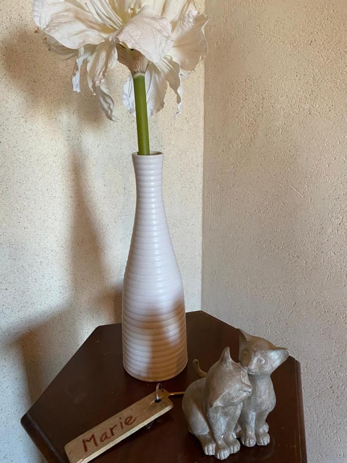 Maison D'Hotes & Gites Domaine De La Garaye ディナン エクステリア 写真